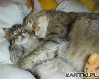 we dwoje przytulniej