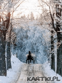 wesołych Świąt...