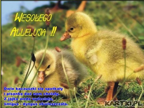 Wesołych Świąt