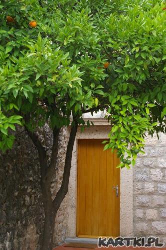 Wrota do królestwa pomarańcz