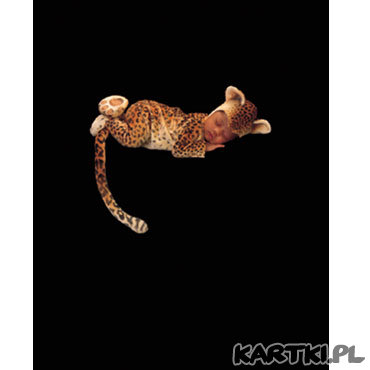 Wszystkie dzieci nasze sa