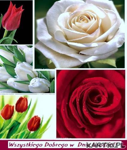 Wszystkiego dobrego!!