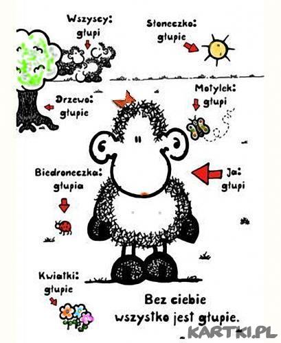 wszystko glupie