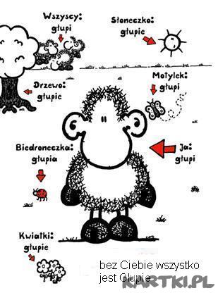 WSZYSTKO JEST GLUPIE BEZ CIEBIE
