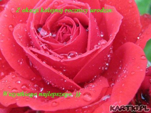 Z okazji urodzin