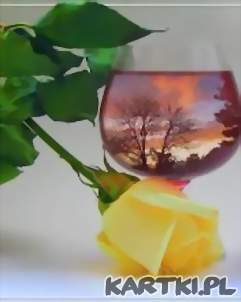 Zapraszam na lampeczkę winka