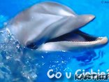 co u ciebie