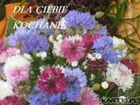Dla Ciebie