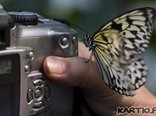 Fotograf