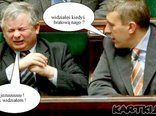 kaczor