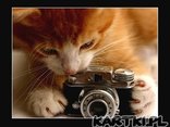 Kici kici mój koteczku!:)