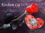 kocham Cię1