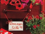 Kocham Cię