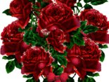kwiaty dla Beaty