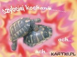 miłość