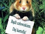 Ojejku...