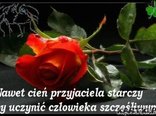 Przyjaźń . . .