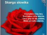 Roza