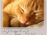 śnij o mnie