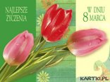Tulipany