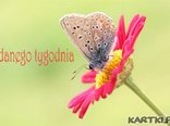 Udanego tygodnia zycze...