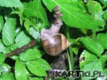 Zawsze warto piąć się w górę 
