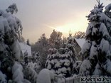Zima