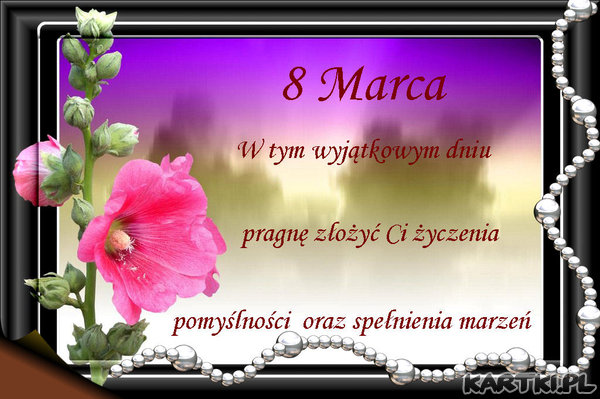 8 Marca