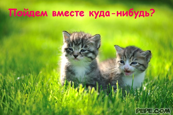 Пойдем вместе куда-нибудь?