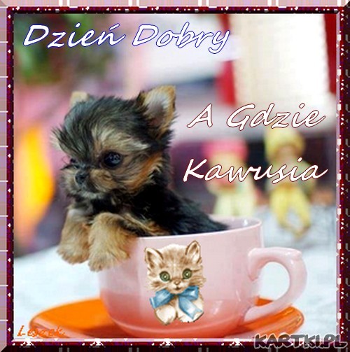A Gdzie Kawusia ... ?