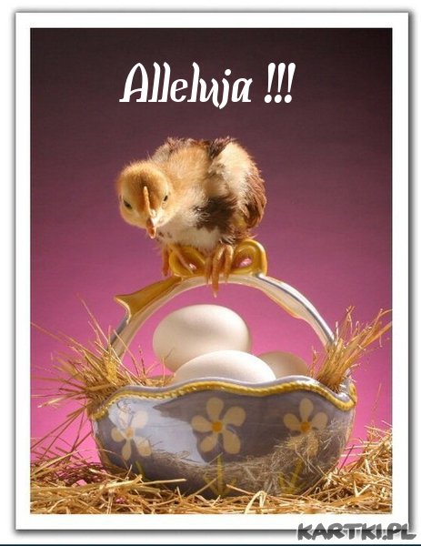 Alleluja !!!