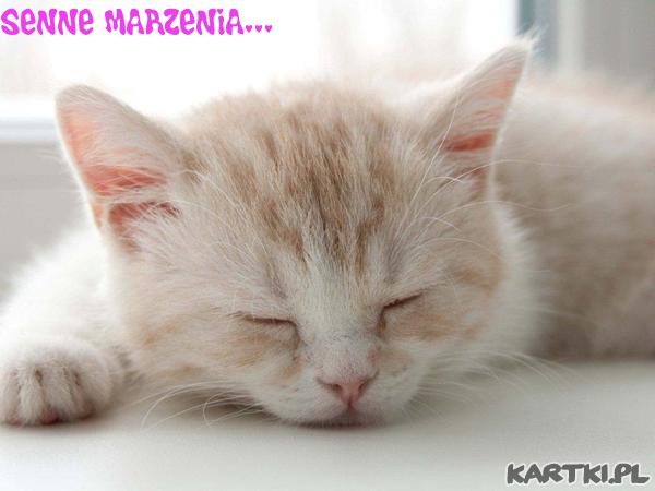 ♥bajecznych snow...