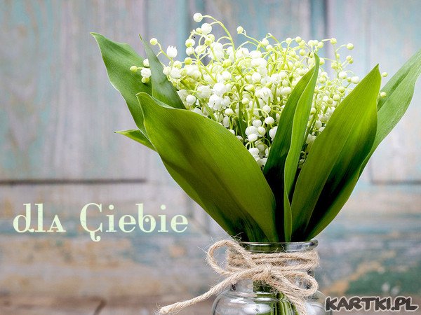 Bukiecik dla Ciebie i najlepsze życzenia!