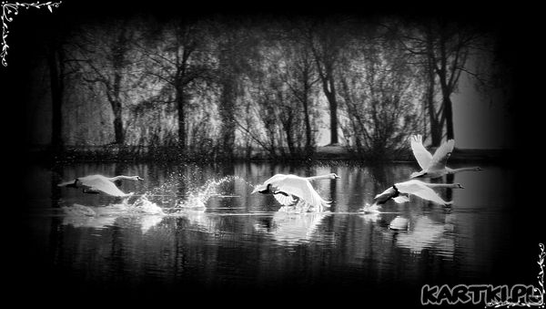 Chłopaki lecimy !!!