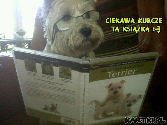 ciekawa książka
