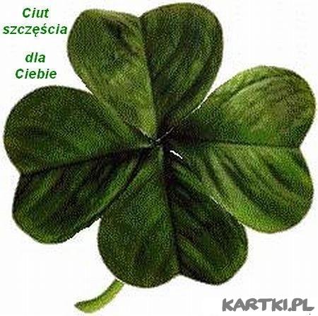Ciut szczęścia dla Ciebie