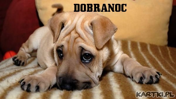 CZAS NA SEN...**