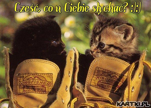 Czesć