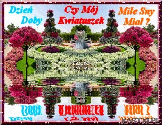 Czy Kwiatuszek ... :-)