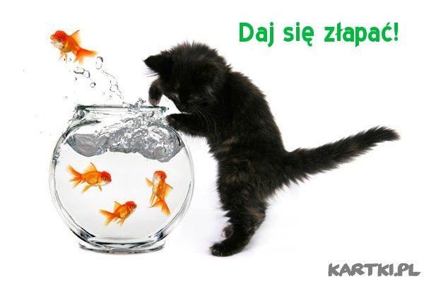 Daj się złapać!