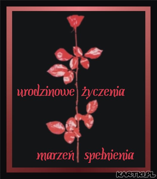 depeche mode róża