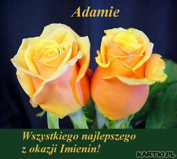Dla Adama