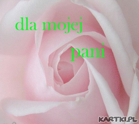 DLA CIEBIE