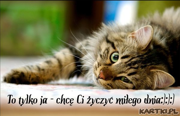 Dla Ciebie
