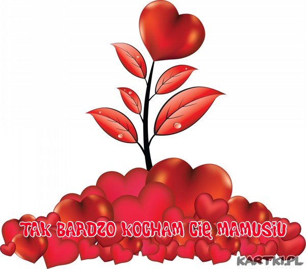 dla Ciebie Mamo ten kwiatek....