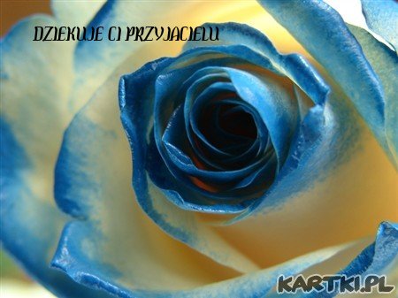 Dla Ciebie...Przyjacielu
