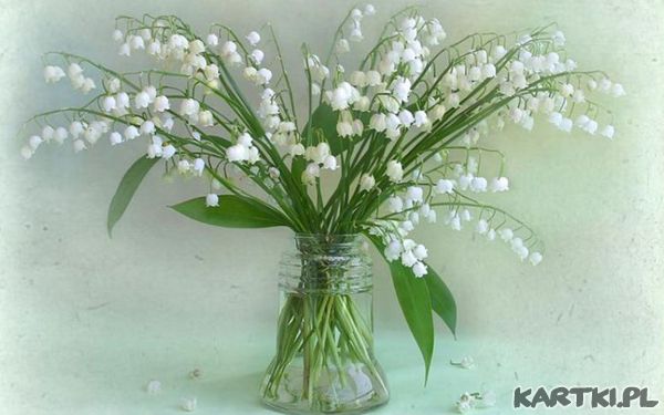 DLA CUDOWNEJ KOBIETY