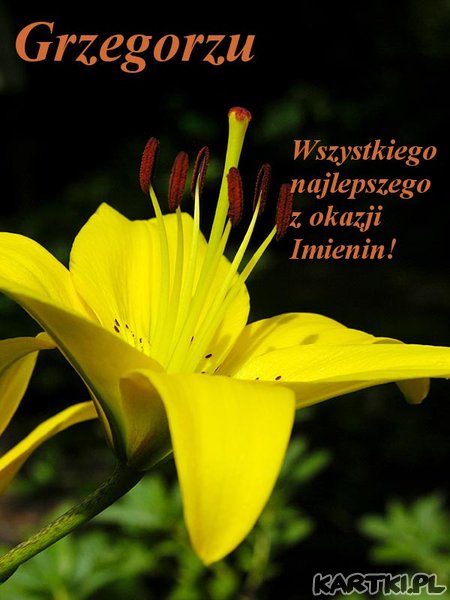 Dla Grzegorza