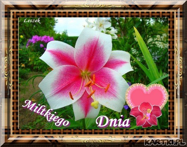 Dnia Milutkiego :)