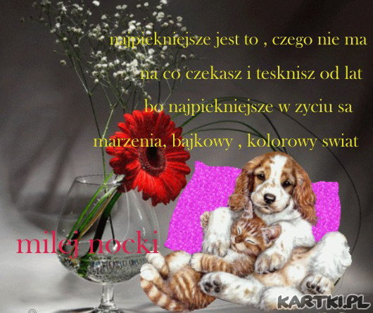 dobranoc